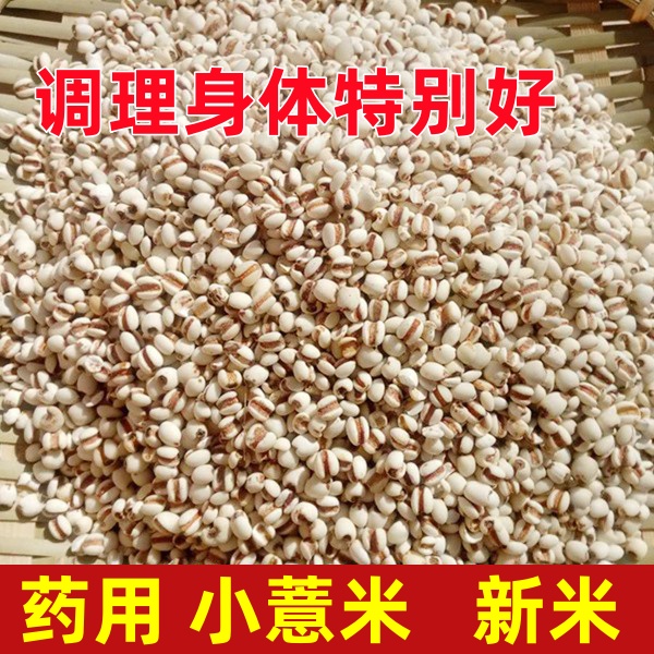 薏仁米薏米仁五谷杂粮新货小粒