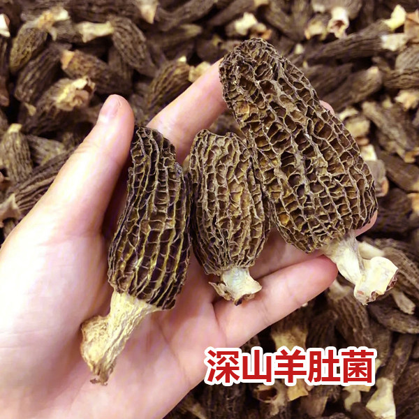 羊肚菌深山纯野外生神农架食用菌炖汤食材100克特优好干货羊蘑菇
