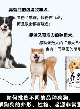 养狗 这一本就够了 生活类正版畅销图书籍生活休闲狗的品种选择日常照顾身体构造习惯养成指令训练身体疾病涵盖了养狗过程中遇到