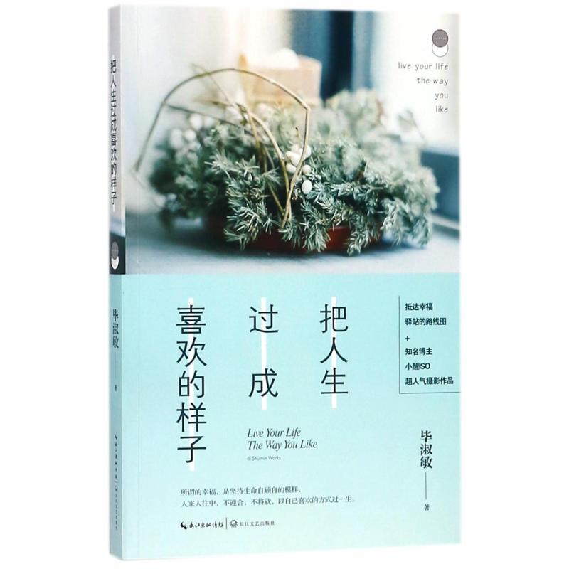 把人生过成喜欢的样子/毕淑敏心灵四书系列文学散文精选集小学初中高中生青少年经典作品集正版畅销图书籍毕淑敏著25段心灵故事2