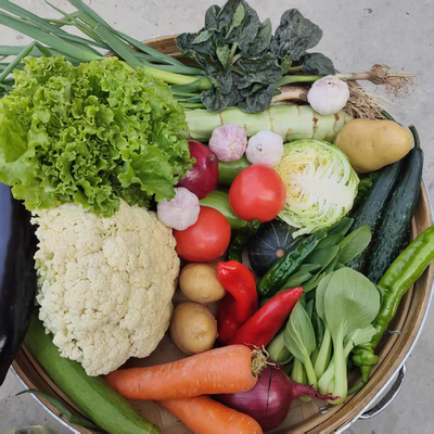 当季露天蔬菜组合顺丰包邮