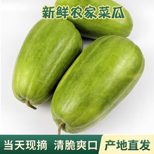 顺丰包邮现摘苏北新鲜脆瓜稍瓜 烧瓜菜瓜八棱脆瓜 无糖凉拌生吃