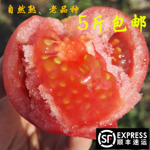 新鲜斤装农家自种生吃包邮沙瓤