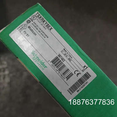 TSXRKY8EX 全新原装正品 实物图拍摄，标的实