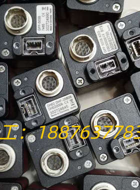 AVT工业相机，GPF 031B，032B，125B，201议价