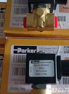 E121K63电磁阀议价