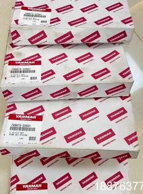 洋马EY18活塞环议价