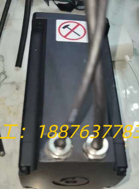 路斯特伺服电机LSMM13-200-4N-110，议价