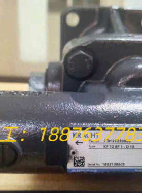 KRACHT克拉克油泵KF40 RF 2/197-D15 P议价