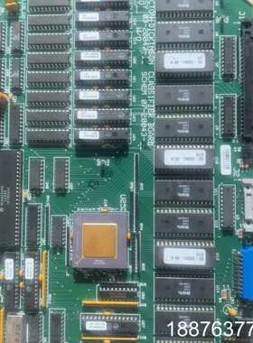 BD 流式 FACSCalibur BECTON DICKI议价