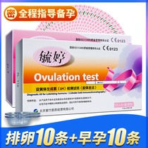 Yuting ovulation test paper 10 + early pregnancy test paper 10 test ovulation period pregnancy preparation test accuracy FC