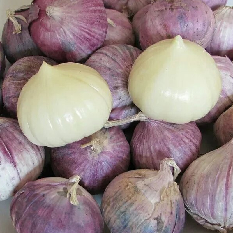 5斤大果包邮云南大理洱源特产新鲜紫皮独头蒜食疗入药 家用调料