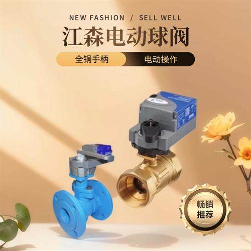 VG1205BN 1205CP-C 1205DR-C 1205ER-C 1205FS-C电动二通球阀