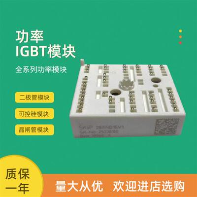 全新功率IGBT模块SKiiP28AHB16V2 SKiiP28ANB16V1 SKiiP28ANB16V2