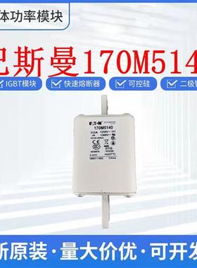 巴斯曼 170M5140 170M5142 170M5143 170M5144 熔断器 保险丝