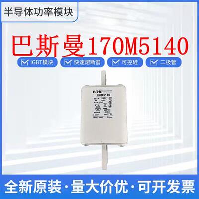 巴斯曼 170M5140 170M5142 170M5143 170M5144 熔断器 保险丝