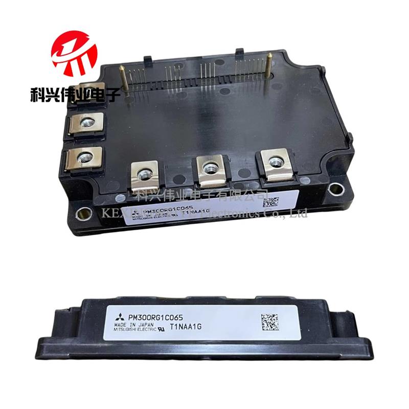 PM300RG1C065 PM200RG1C045 PM700RG1C085 PM900RG1C065全新现货