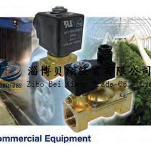 美国派克PARKER电磁阀高温蒸汽电磁阀PM156.2AR PM135AT