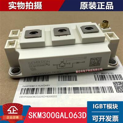 SKM40GD123D/124D/SKM300GB066D/063D/125D/400GB125D模块GAL