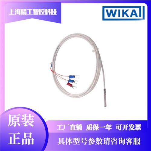 TP100热电阻WZPT-035 两线三线四线六线制温度传感器PT1000测温线