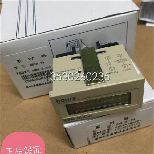 温州大华累时器DHC3L-  DHC3L-6A   AC/DC110-240V 正品保证