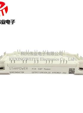 全新原GD100PIT120C6SN-G8 GD100PIY120C6SN GD100PIX120C6SN