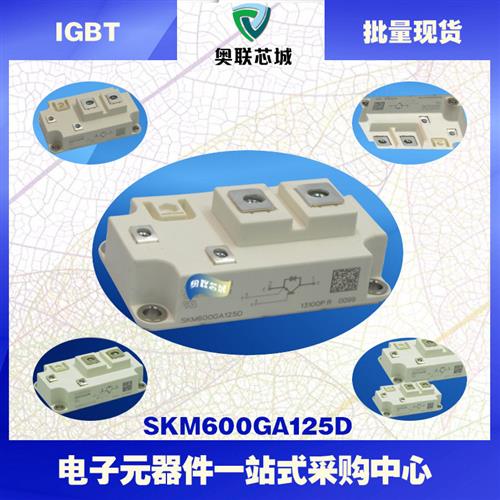 SKM600GA12V SKM600GA124D SKM600GA123D全新可控硅模块