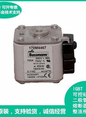 巴斯曼 170M4813  170M4803 170M4143 快速熔断器 极速发货 直拍