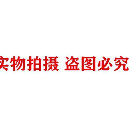 全新原装正品  IB IL 24 PSDI 8-PAC   安全模块 2985688