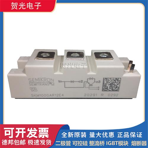 西门康IGBT模块SKM100GAR12E4/SKM100GAR123D