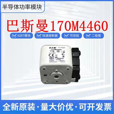 全新 170M4460 170M4461 170M4956 170M5138 巴斯曼保险丝