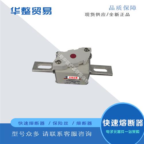 全新快速熔断器A130UD70TTI100 S301017 A130UD70TTI125 T301018