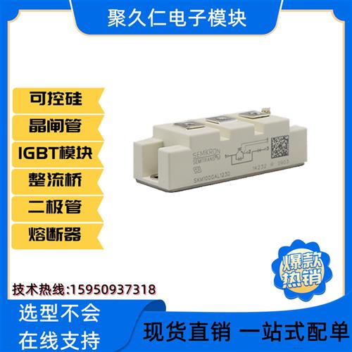 全新赛米控 SKM100GAL12T4 IGBT 模块 SKM100GB12T4 17E4