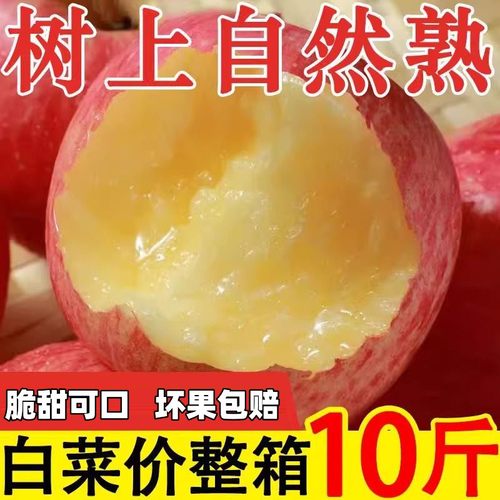 【5A品质】正宗洛川红富士苹果