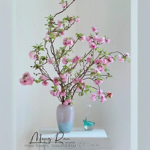 粉樱花白鲜切花枝干水培好养室内插花卉泡香春天腊梅玉兰海棠牡丹