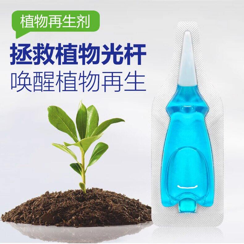 一插花爆盆植物再生剂花