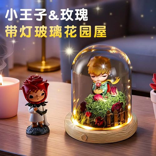 【小王子玫瑰造景】展示盒手办柜