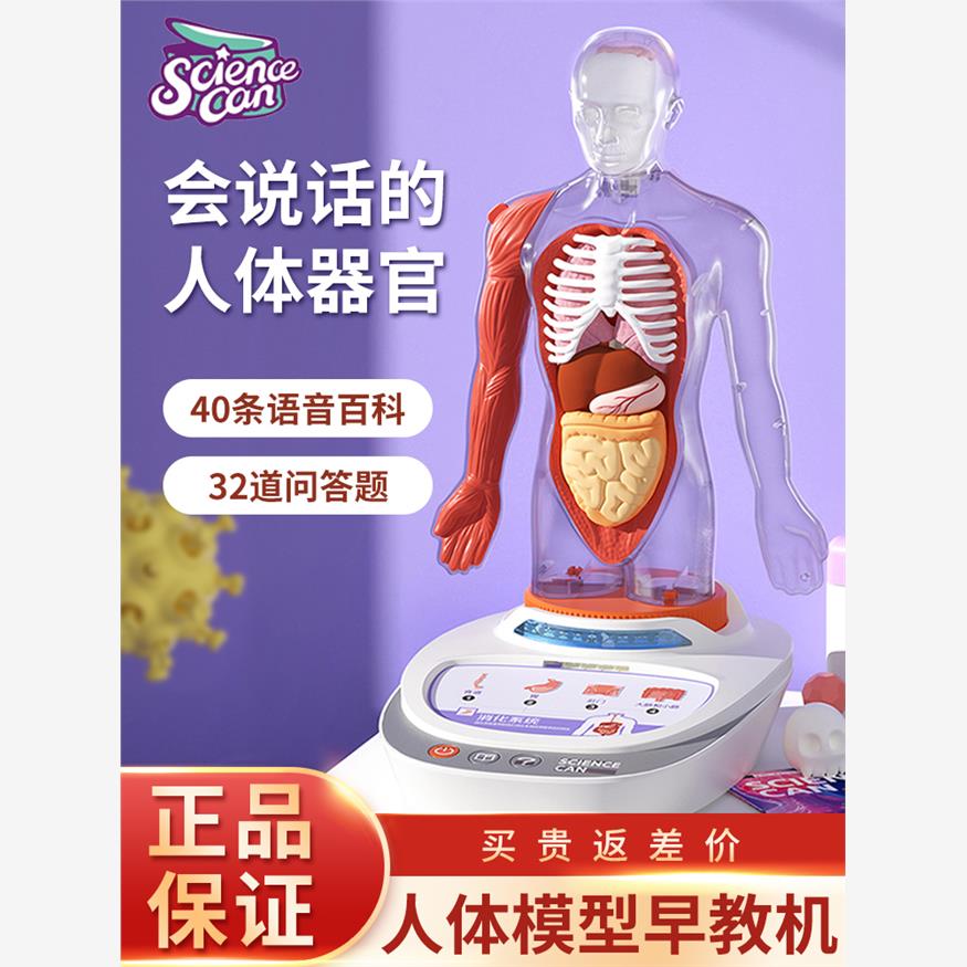 科学罐头人体解剖模型内脏器官可拆卸医学教学科普教具我们的身体
