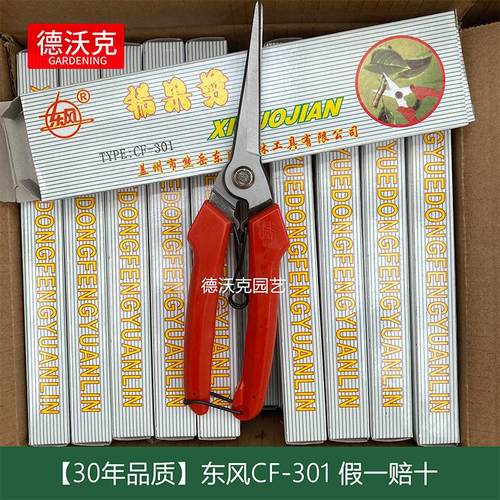 东风熊岳稀果剪辽宁果树