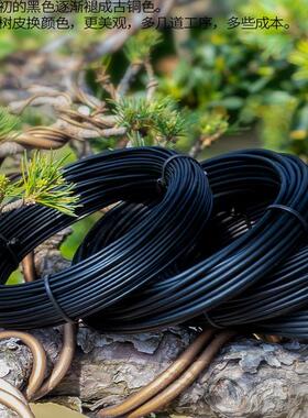 盆景造型专用铝丝铝线盘扎铝丝线蟠扎园艺铁丝花卉罗汉松定型吕丝