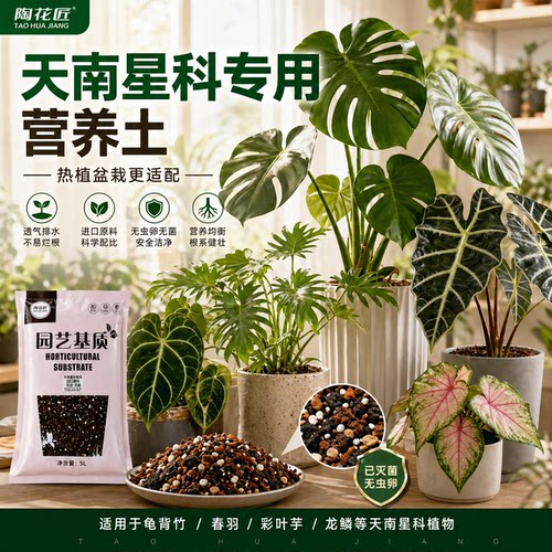陶花匠天南星科热植龟背竹营养土