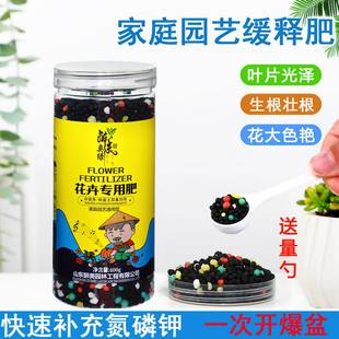 醉美家用控缓释腐殖酸肥料盆栽花卉绿植蔬菜氮磷钾通用有机复合肥