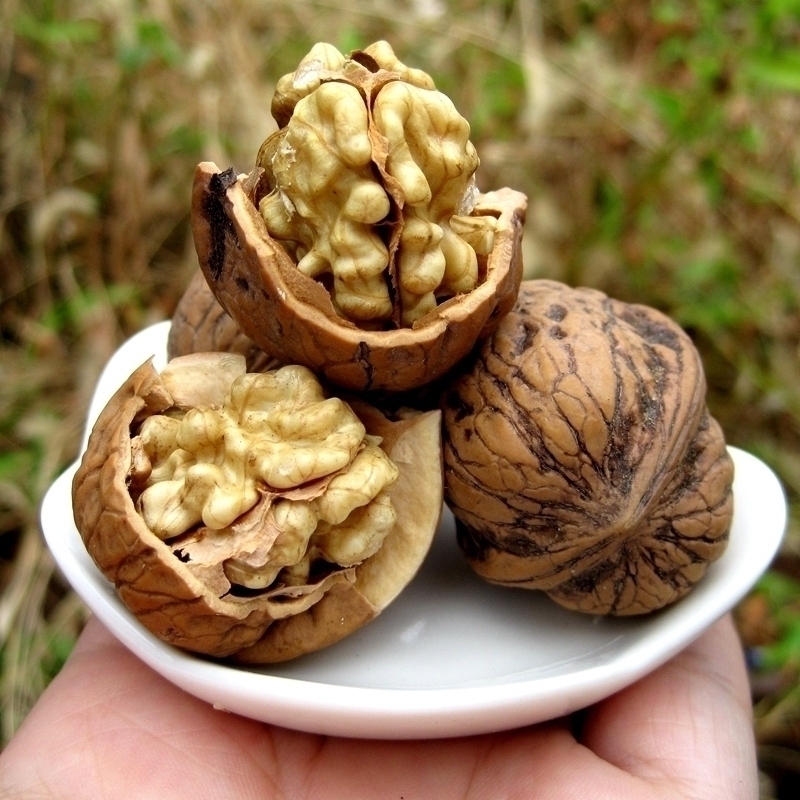 25年新货神农架野生老树核桃无漂白壳略黑仁香味甘甜孕妇坚果零食