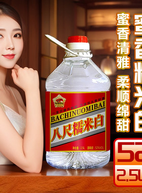 糯米白青梅泡酒水果药材基酒高低度米香型白酒原浆广东八尺米酒