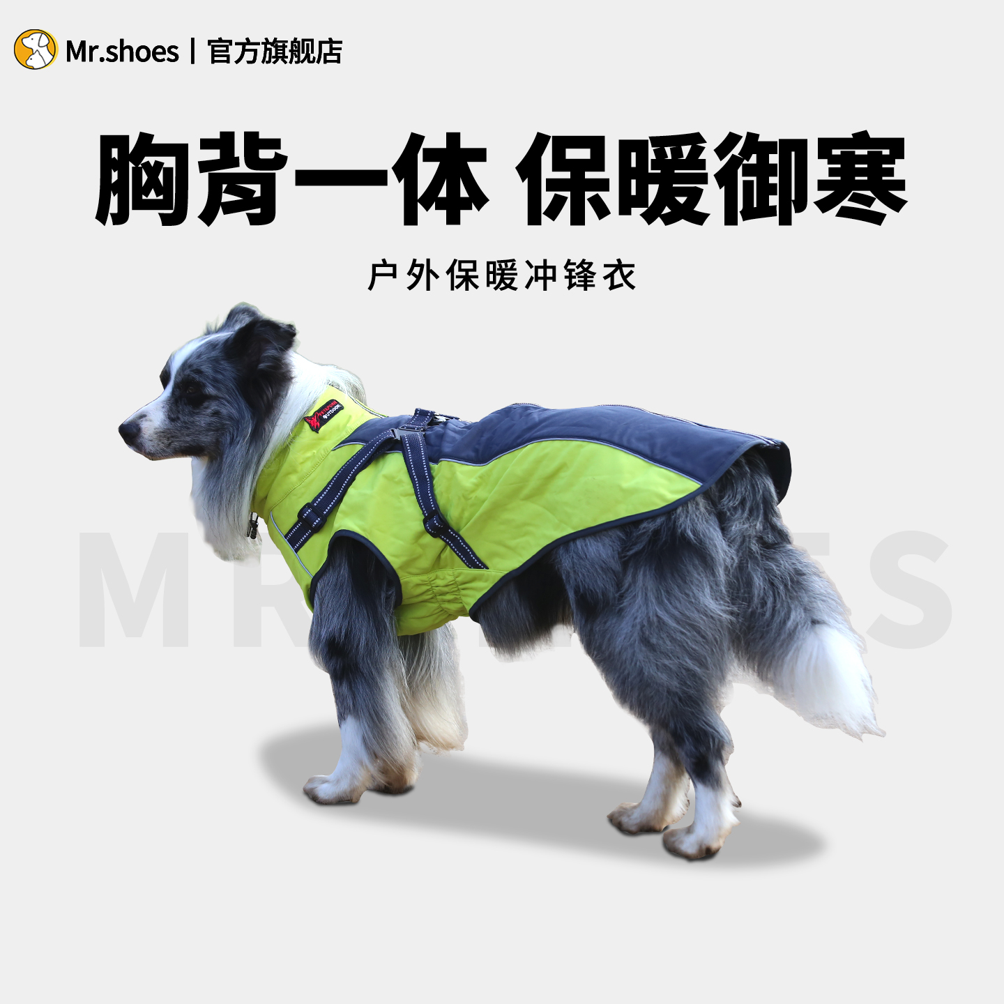 Mr.shoes狗狗衣服带胸背防风保暖