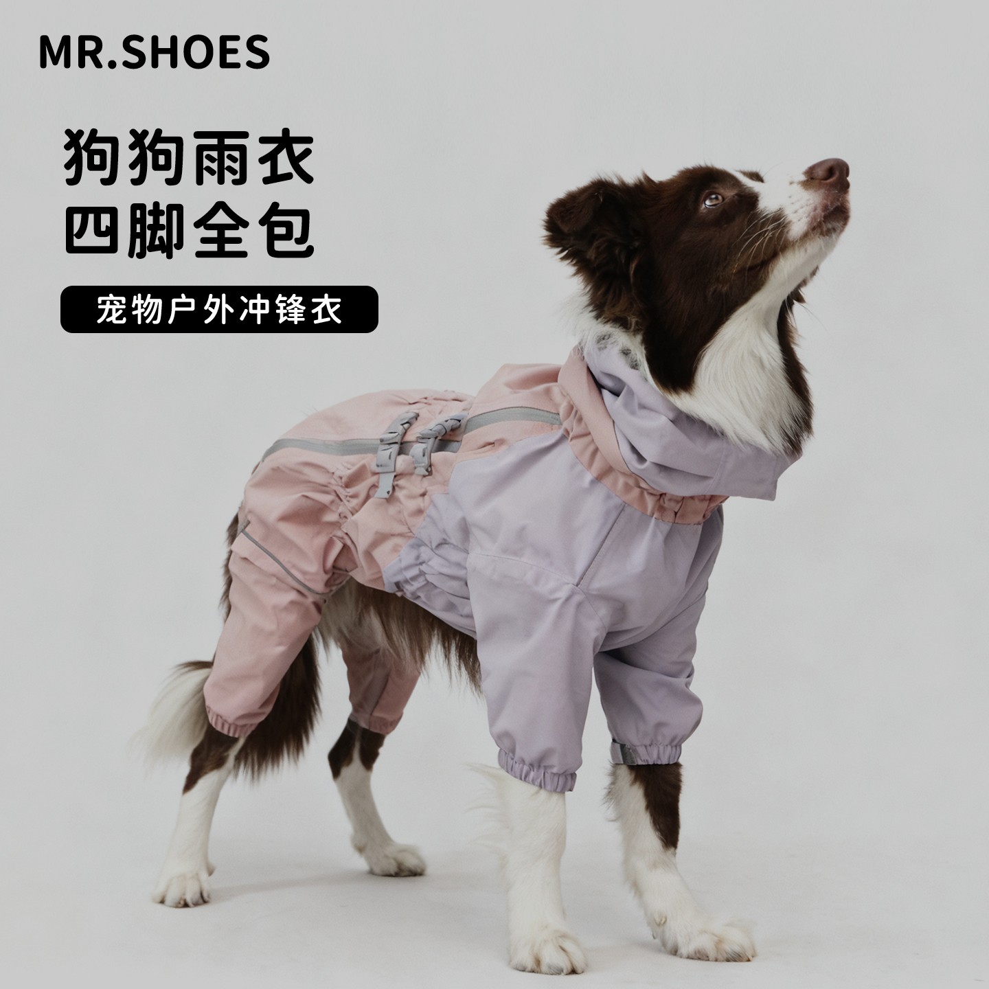 Mr.shoes狗狗雨衣户外防水冲锋衣
