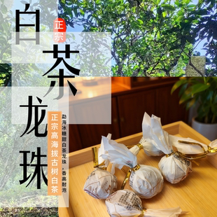 正宗云南白茶龙珠勐海高海拔古树白茶龙珠小包装耐泡白茶茶叶120g