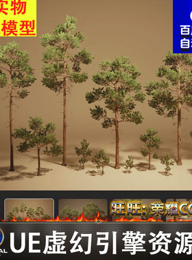 UE5.1写实云杉松树红衫植物植被枯木树木松针树苗