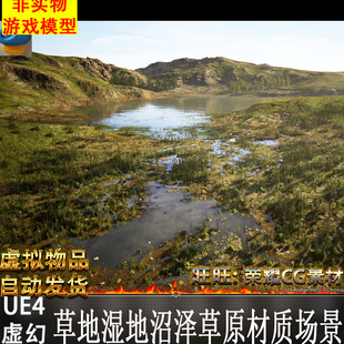 草地湿地沼泽草原材质场 UE4虚幻4 Meadow Wetlands Landscape