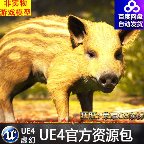 UE4森林小猪野猪虚幻4动物模型 Animalia - Wild Boar young